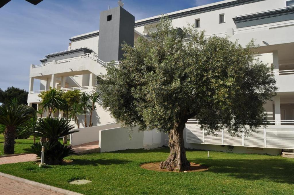 Oasis Hoyo 12 - Oliva Nova Playa Met&Golf Διαμέρισμα Εξωτερικό φωτογραφία